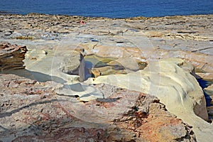 Malte; La Valette; Plage typiques en roches photo